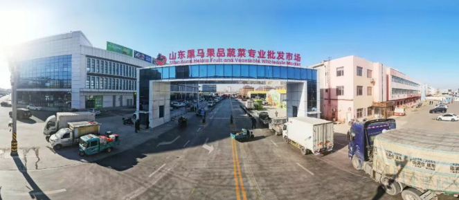 1764307683466034.png c6c8e698-2752-477d-9458-20110492e12b.png